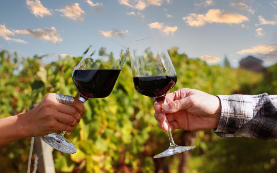 Due persone brindano con bicchieri di vino rosso in un vigneto al tramonto.